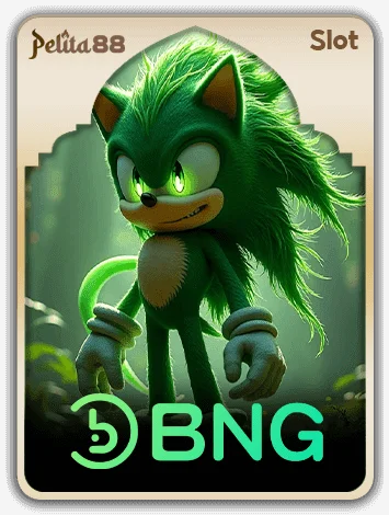 BNG slot