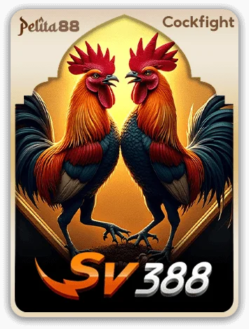 SV388 cockfight